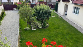 Home Rasnov